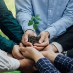 Cannabis Medicinal Gratuita pelo SUS